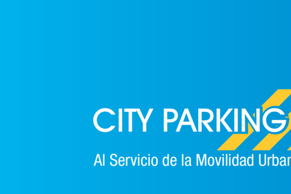 City Parking Analysis