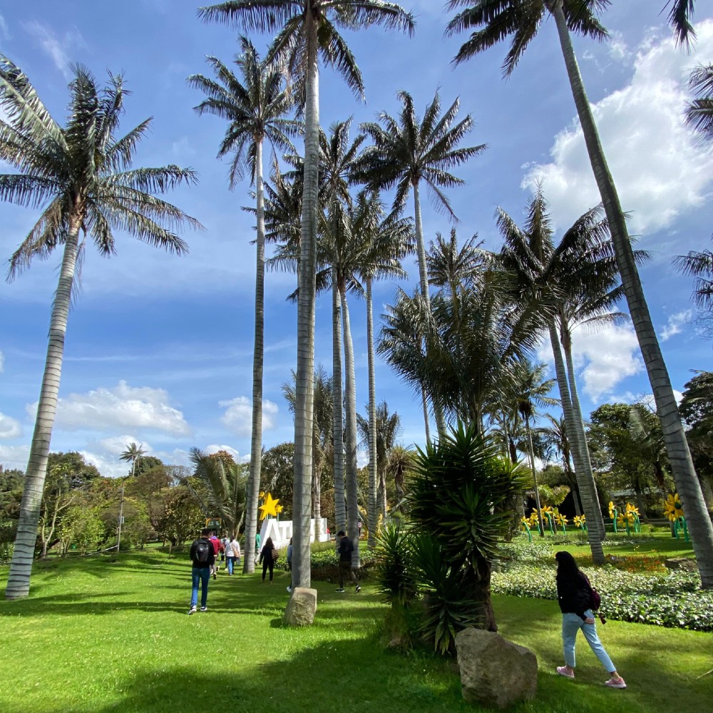 Salidas 2022 a Trujillo y Jardín Botánico: Promoviendo la calidad de vida en Despacio